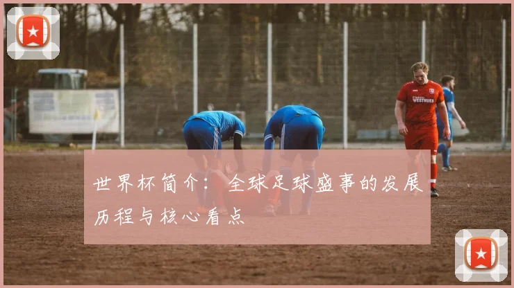 世界杯简介:全球足球盛事的发展历程与核心看点