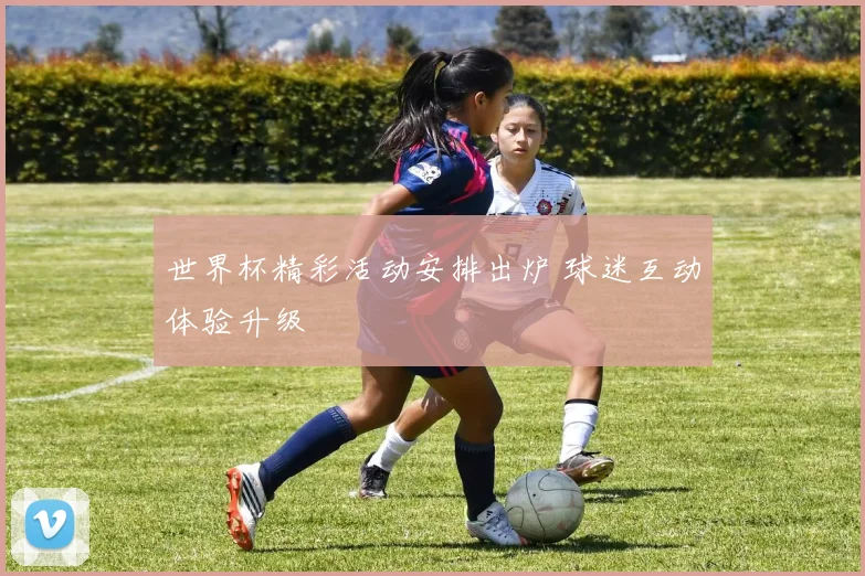 世界杯精彩活动安排出炉 球迷互动体验升级